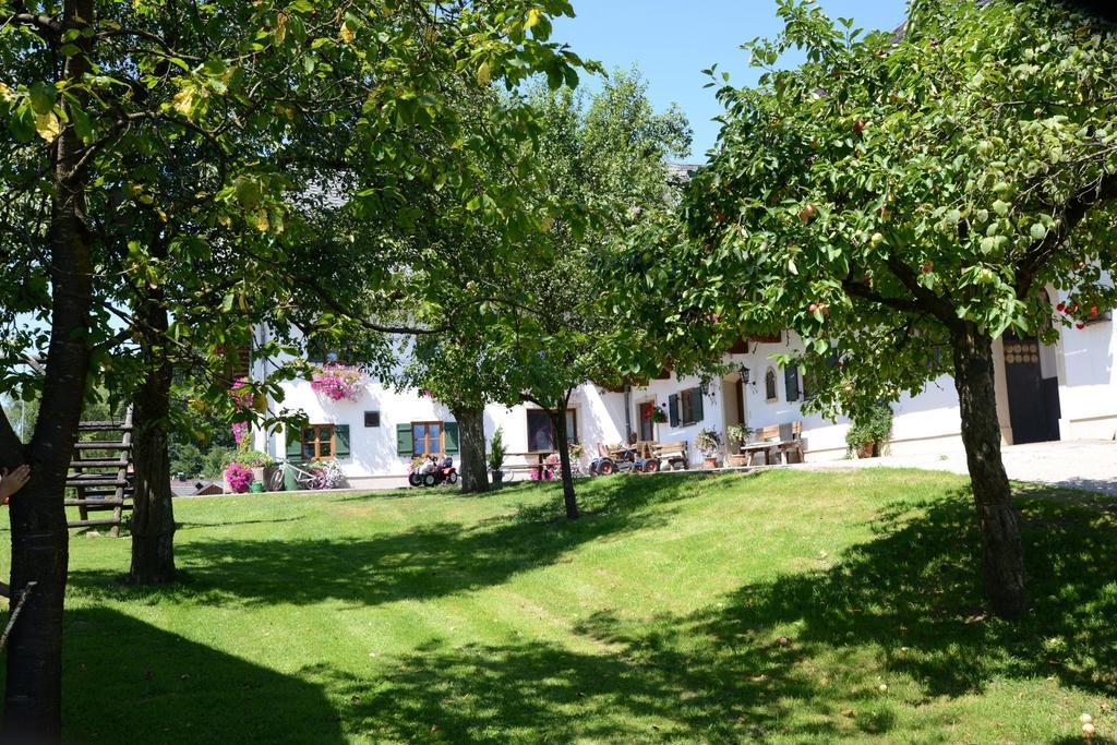 Weinbachbauer - Urlaub Am Bauernhof Vila Saint Wolfgang Exterior foto