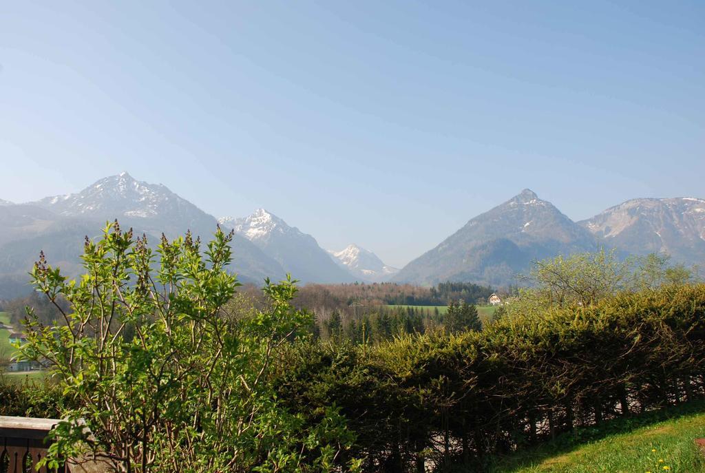 Weinbachbauer - Urlaub Am Bauernhof Vila Saint Wolfgang Quarto foto