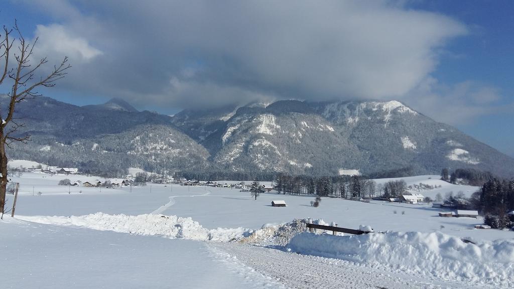 Weinbachbauer - Urlaub Am Bauernhof Vila Saint Wolfgang Exterior foto