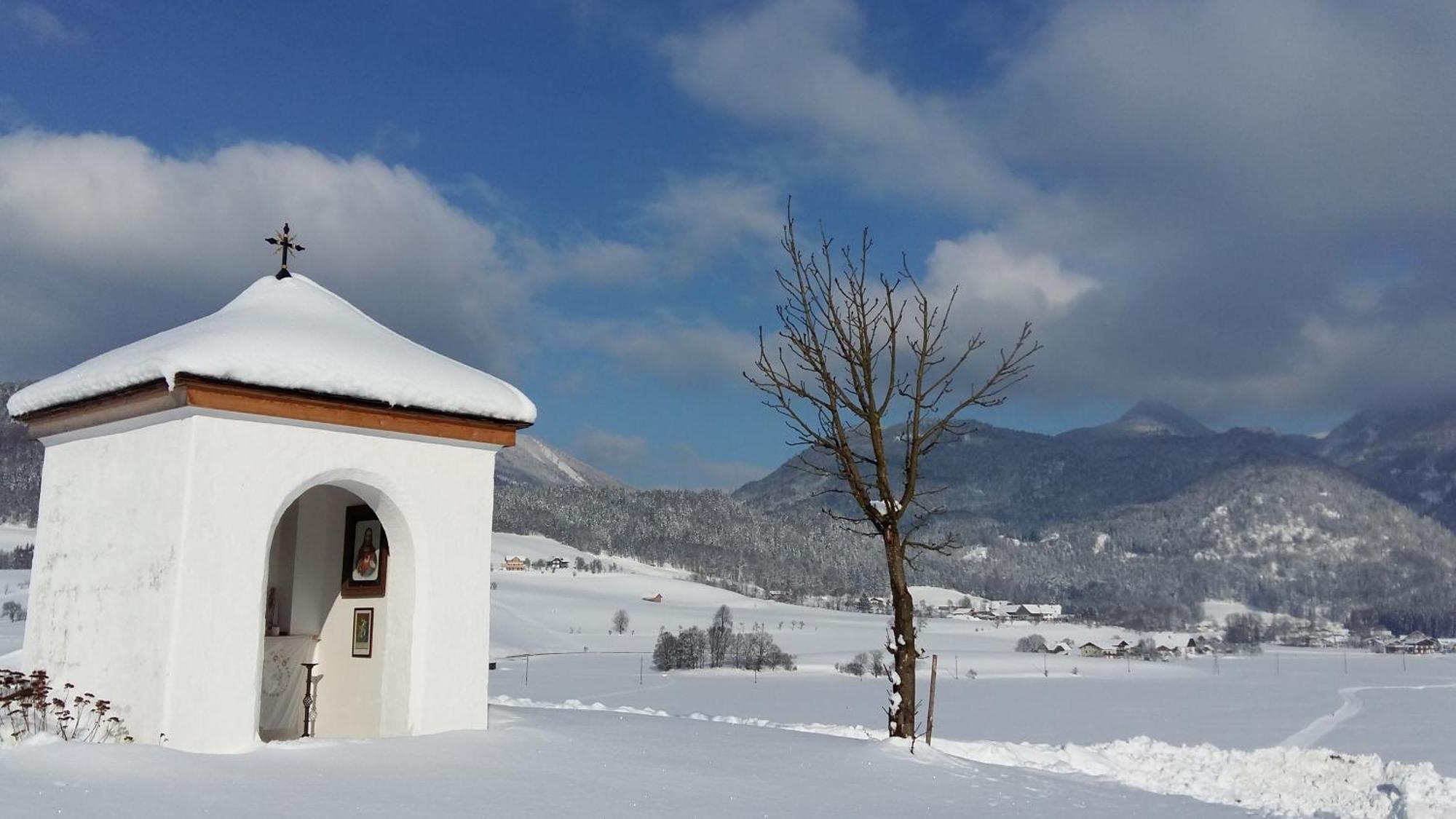 Weinbachbauer - Urlaub Am Bauernhof Vila Saint Wolfgang Exterior foto